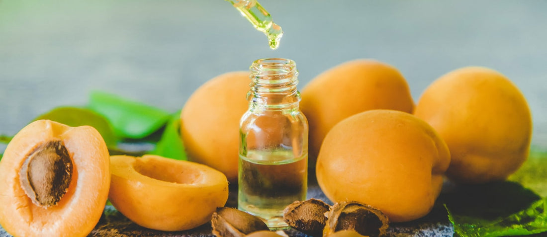 Top 6 Best Apricot Oil in India