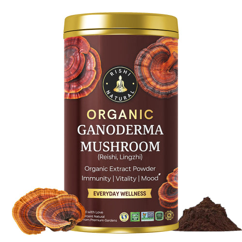 Organic Ganoderma Mushroom Extract Powder Main Image
