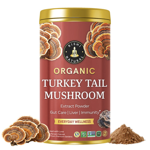 Rishi Natural Turkey Tail Mushroom Extract Powder Main Image