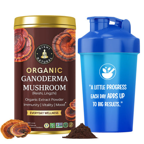 Organic Ganoderma Mushroom Extract Powder Shaker