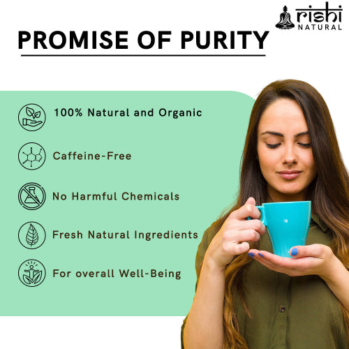 Rishi Natural Spearmint Tea Promise of Purity