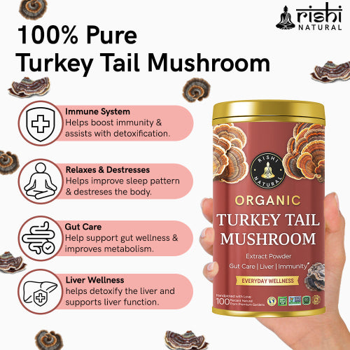 Rishi Natural Turkey Tail Mushroom Extract Powder Benefits